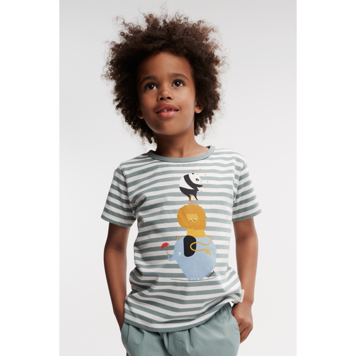 Liewood Apia Placement Print T-shirt - Circus / Stripe peppermint / Creme de la creme - TSHIRT
